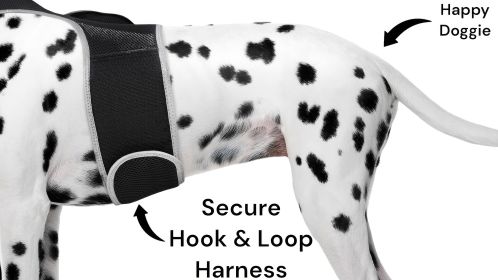 Pet Tracker Waterproof GSM GPS Dog Tracking Devices Wireless Pet Security Size:XS