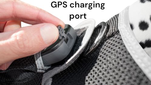 USB Rechargeable Pet Security Pocket GSM GPRS GPS Dog Tracking Device Size:XL