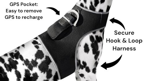 Pet Tracker Mini Dog Protection Security Tracking Mini Finder Locator Size:XS