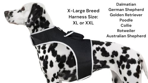NEW Realtime GPS Pet Locator Waterproof Rechargeable Tracking Device Size:M