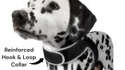 Mini GSM GPS Dog Tracking Systems with Alarm for Pet Wireless Security Size:S
