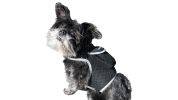 Global Pet Finder GPS Pet Tracker Waterproof MIni Collar Mount Device Size:S