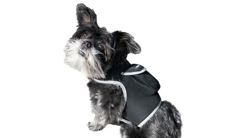 Global Pet Finder GPS Pet Tracker Waterproof MIni Collar Mount Device Size:S