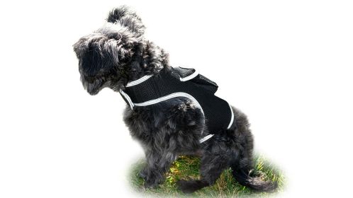 Pet Security Mini GSM GPRS Realtime Collar Pet GPS Tracker Waterproof Size:M