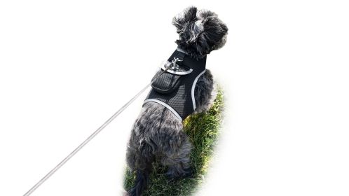 USB Rechargeable GPS Mini Pet Tracker Waterproof Realtime Surveillance Size:XS