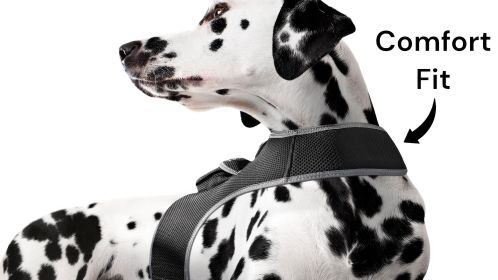Pocket GPS Collar Tag Pet Tracker Realtime Tracking & Location Finder Size:XXL