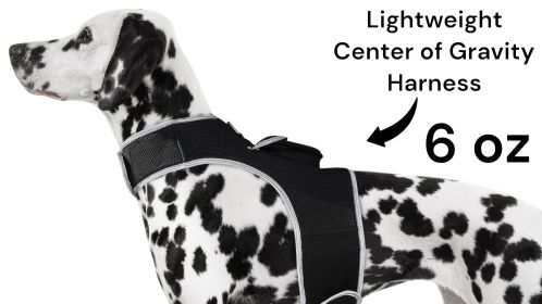 Wireless GPS Pet Security Surveillance Remote Tracking System Locator Size:L