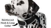 Small Pet Tracker Cat Dog Lost Detector Security GPS Tracking Device Size:XXL