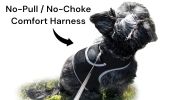 Affordable GPS Realtime Wireless Pet Tracker GSM Portable Pet Locator Size:M