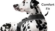 GPS Tag Pet Tracker Collar Waterproof Surveillance Tracking Device NEW Size:XL