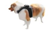 Global Pet Finder GPS Pet Tracker Waterproof MIni Collar Mount Device Size:S