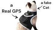 Rechargeable Mini Collar GPS Tag Pet Tracker w/ Wireless Realtime App Size:XXL