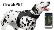 GPS Cell Phone Pet Tracker Realtime Tracking Device for Pet Security Size:XXL