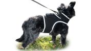 Pet Security Mini GSM GPRS Realtime Collar Pet GPS Tracker Waterproof Size:M