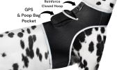 USB Rechargeable GPS Mini Pet Tracker Waterproof Realtime Surveillance Size:XS