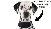 Portable Surveillance System GPS Pet Tracking Collars for Hunting Dogs Size:XS