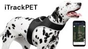 Pet Tracker GSM Locator Cat/Dog Animarl Protection Security Tracking Size:XS