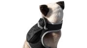 Pet Tracker GSM Locator Cat/Dog Animarl Protection Security Tracking Size:XXL