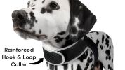 NEW Realtime GSM Collar Tag Pet Tracker Waterproof GPS Tracking Device Size:XS