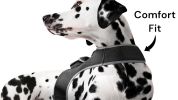 NEW Realtime GSM Collar Tag Pet Tracker Waterproof GPS Tracking Device Size:XS